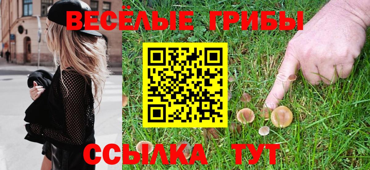 Галлюциногенные грибы прущие грибы Бор