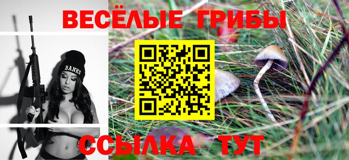 Псилоцибиновые грибы Cubensis  Вход с VPN  Бор  Псилоцибиновые грибы MAGIC MUSHROOMS 