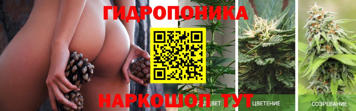 Бошки марихуана White Widow Бор
